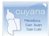 Distribuidora de Gas Cuyana S.A.